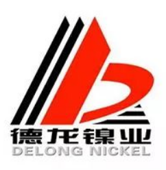 江苏德龙镍业有限公司